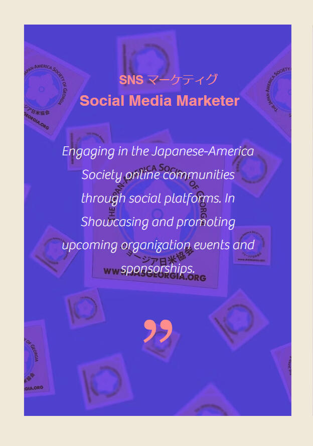 SEO SEO Portfolio